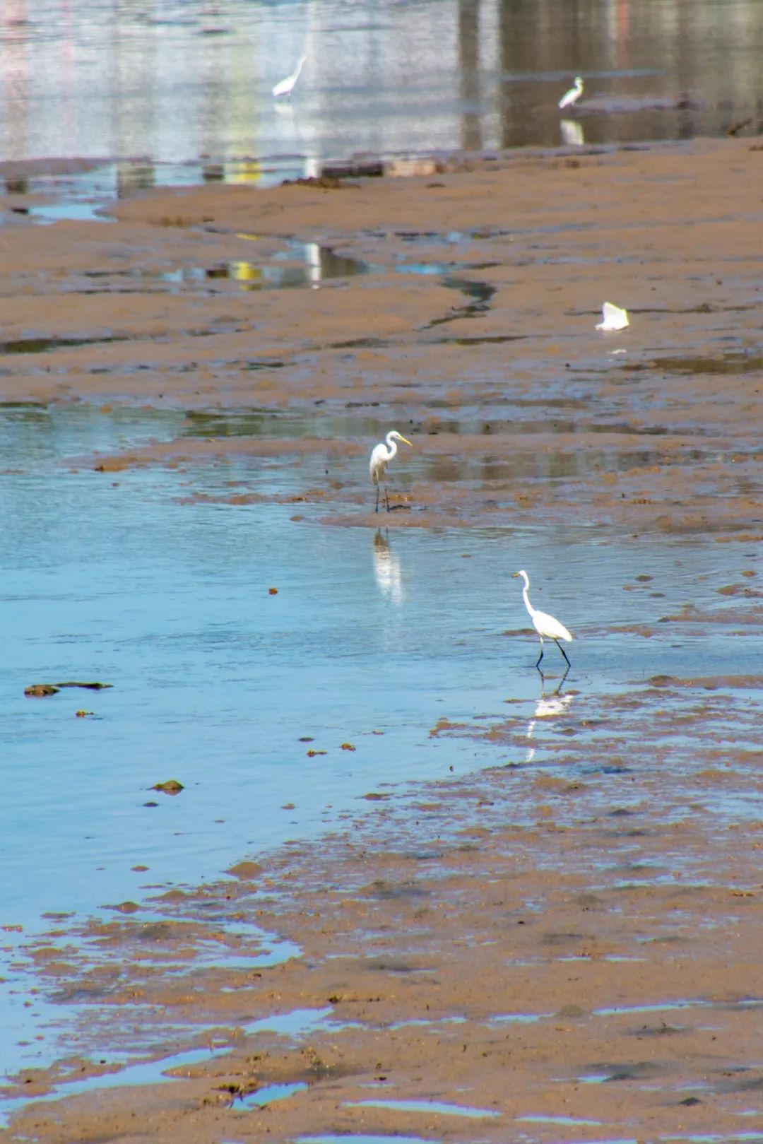 深圳盐田全攻略自由行,深圳盐田旅游攻略