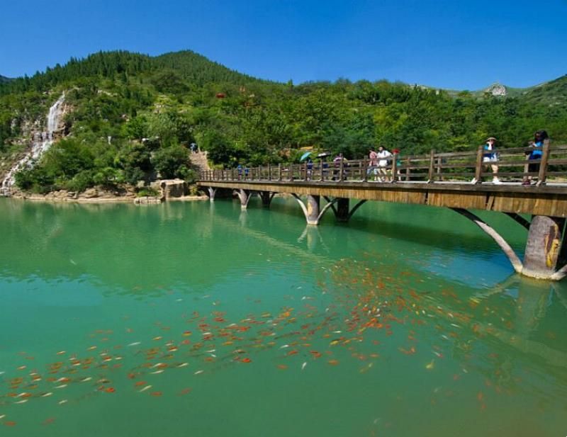 潍坊到青州黄花溪怎么走,潍坊黄花溪和新乡八里沟