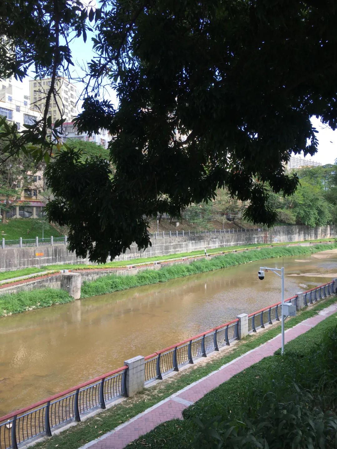 《旭光骑行深圳》第21站——龙华区龙华街道