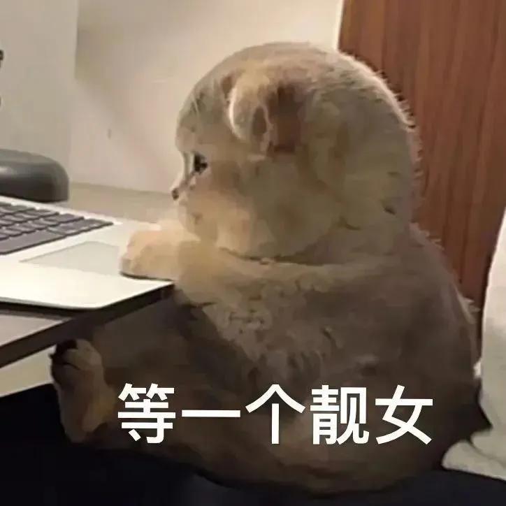 鎴戞潵浜嗚〃鎯呭寘鍙埍鎼炵瑧鍥剧墖,鎴戞潵浜嗘帴浣忚〃鎯呭寘