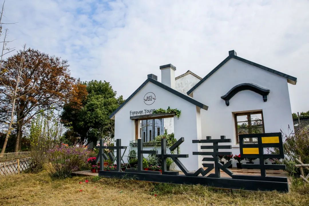 乡村振兴100讲全集,100个经典乡村振兴案例