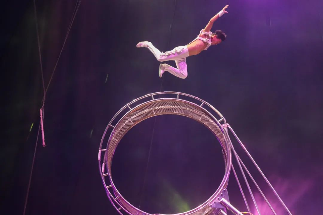 极致的视觉盛宴冲击你的感官,极致的视觉盛宴感受