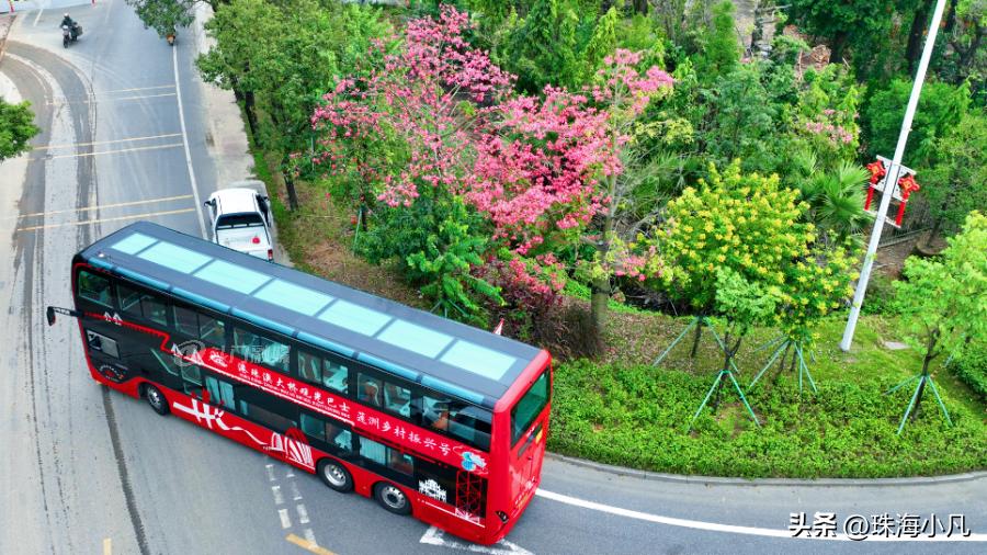 刚刚开通！莲洲⇋香洲！10元往返+区域无限次…