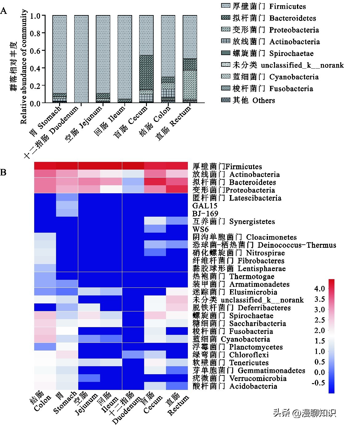 Sprague-Dawley大鼠是什么？关于它胃肠道微生物区系的研究