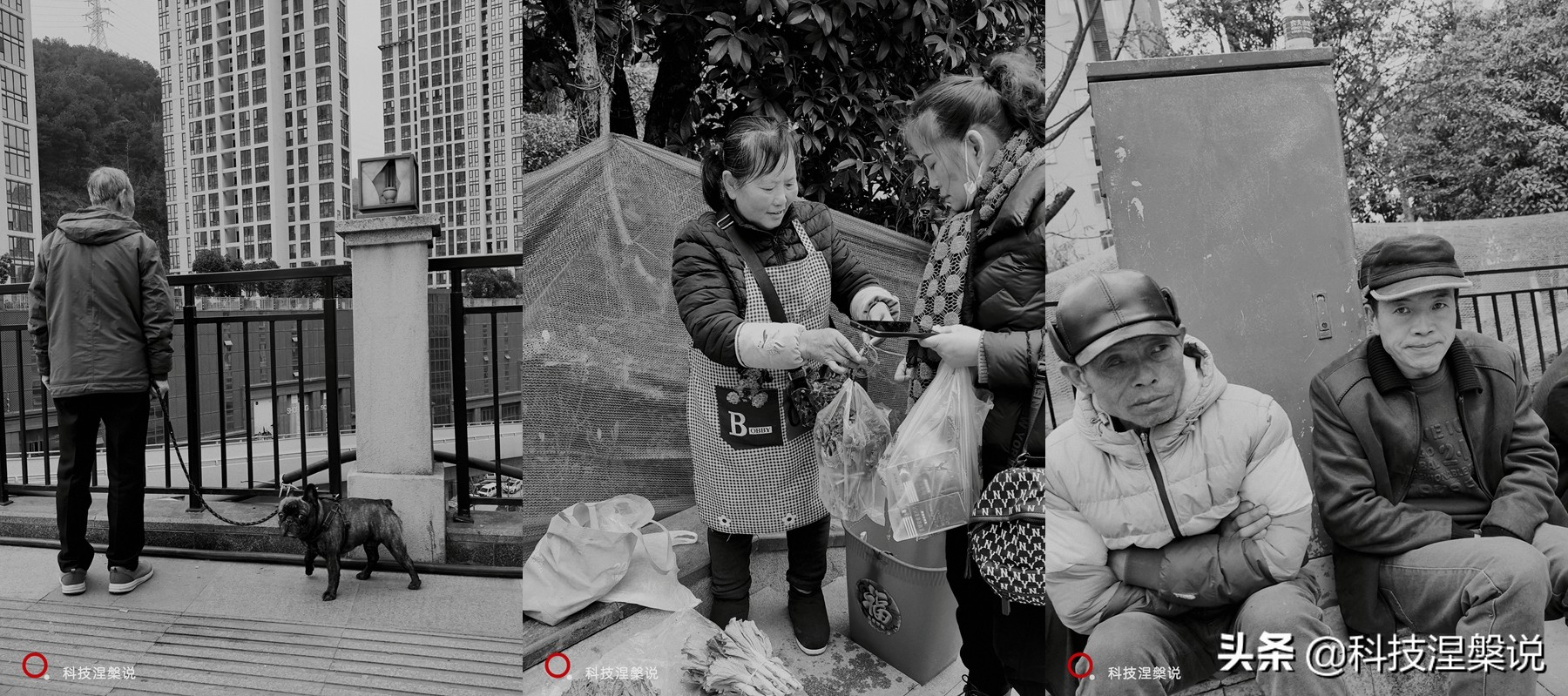 努比亚z40pro35mm镜头没反应,努比亚z40spro拍照评测