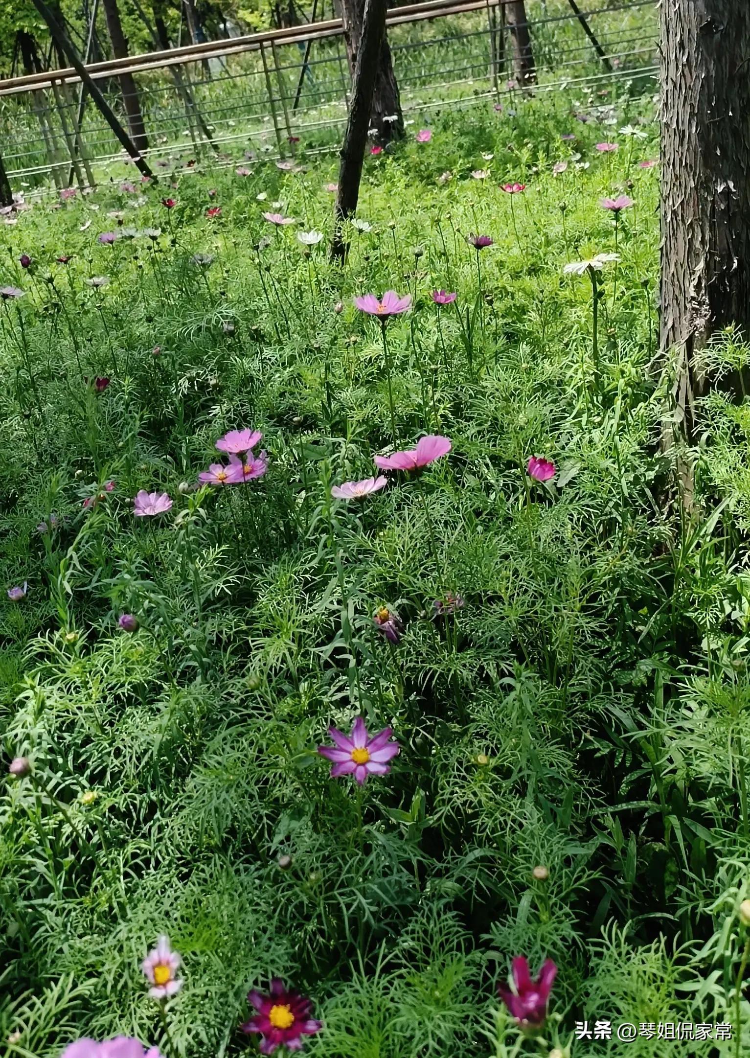 上海住家保姆包吃住一个月多少钱,上海住家带小孩保姆工资多少