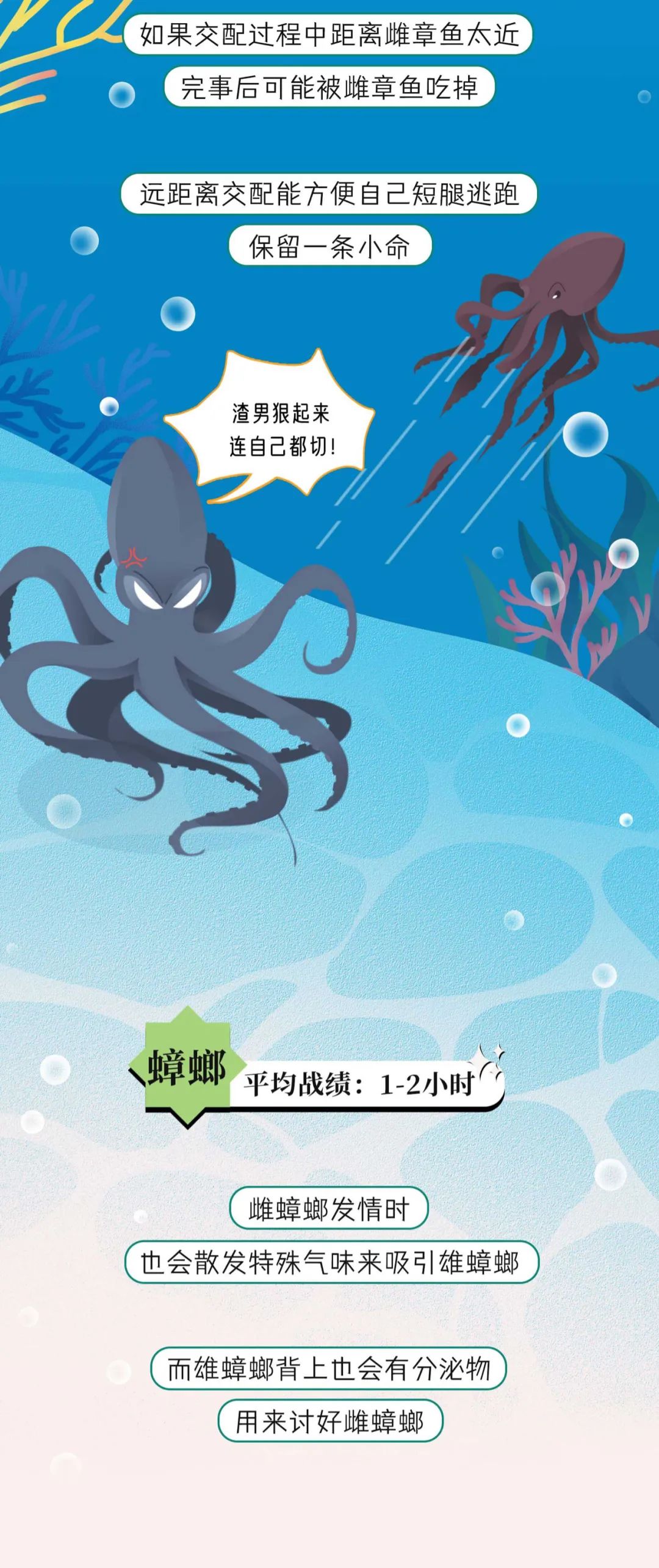 漫画：一组关于动物交配时间统计表曝光！