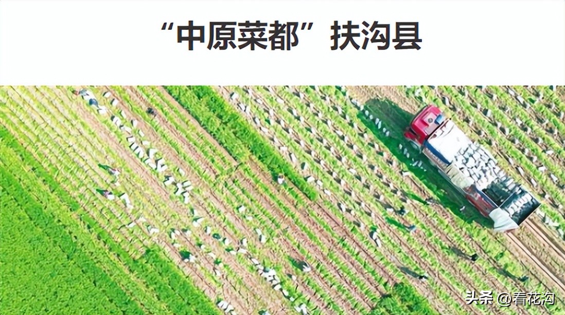 扶沟县概况,扶沟县是河南哪个市的