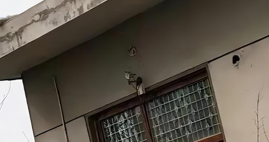 山东孕妇被性侵致死,可怜孕妇被暴打