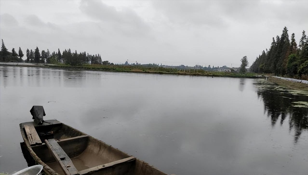 泗洪河蟹养殖用水草,江苏养河蟹技术