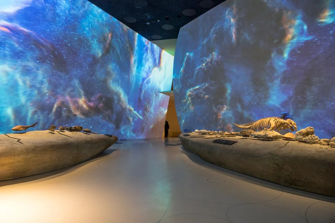 2022卡塔尔世界杯举办地,卡塔尔世界杯举办地