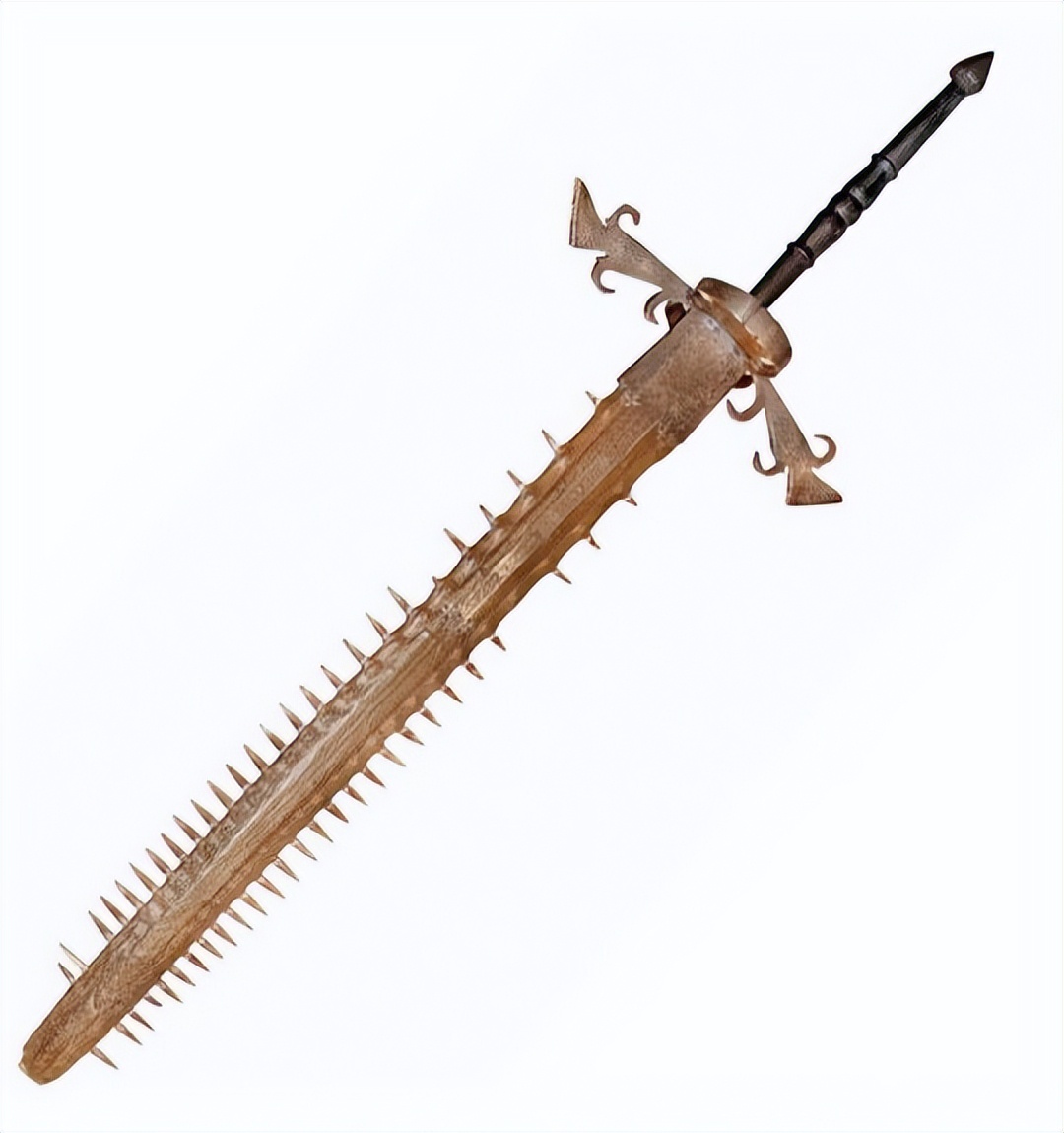 26张离奇动物照片：克苏鲁大人在沙滩爬行，货轮撞翻鲸鱼