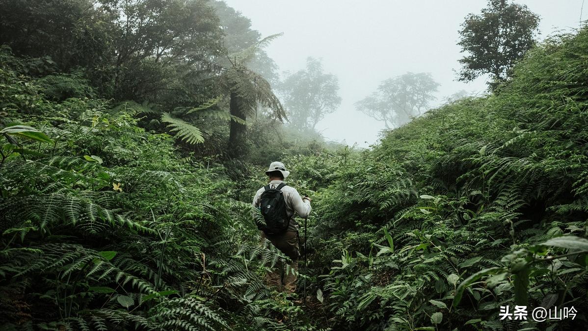 掌握三原则轻松跑10公里,登山户外常识大全100条