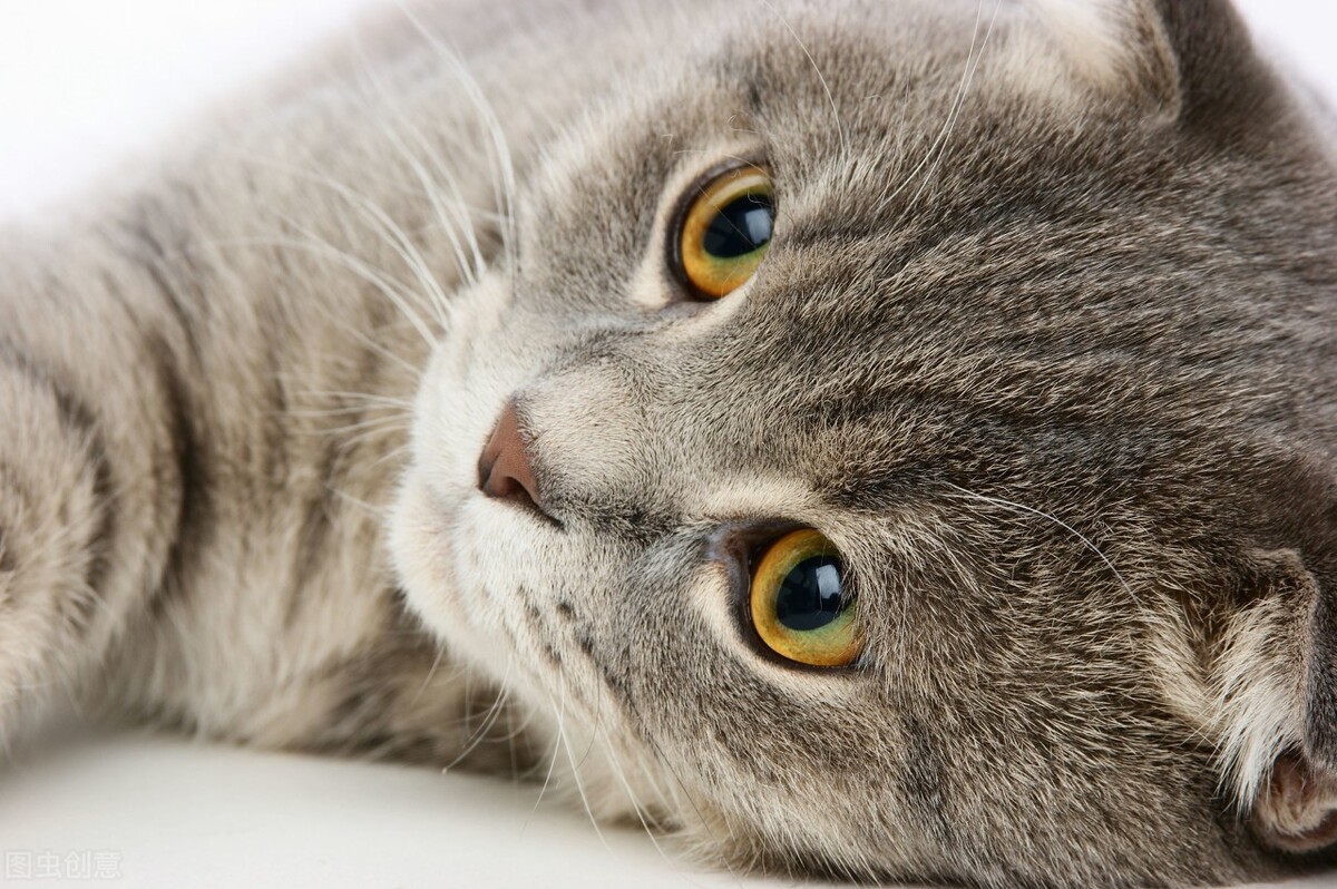 船舶货运的基本知识,大型船舶怎么托运