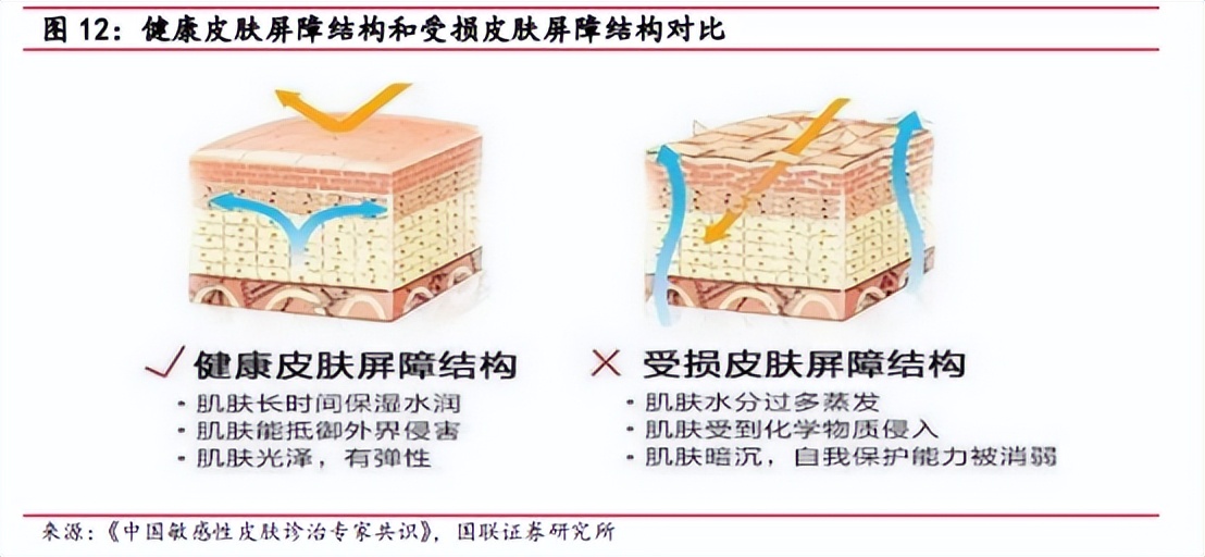 化妆品行业分析的书推荐,化妆品行业现状及趋势分析