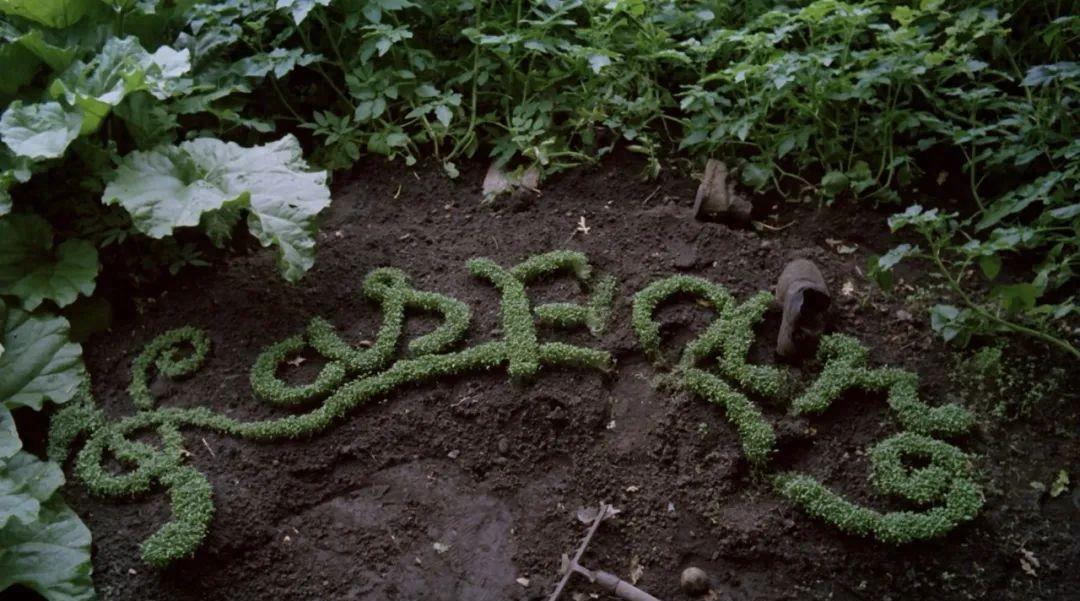 99元酒店合集,99块的酒店