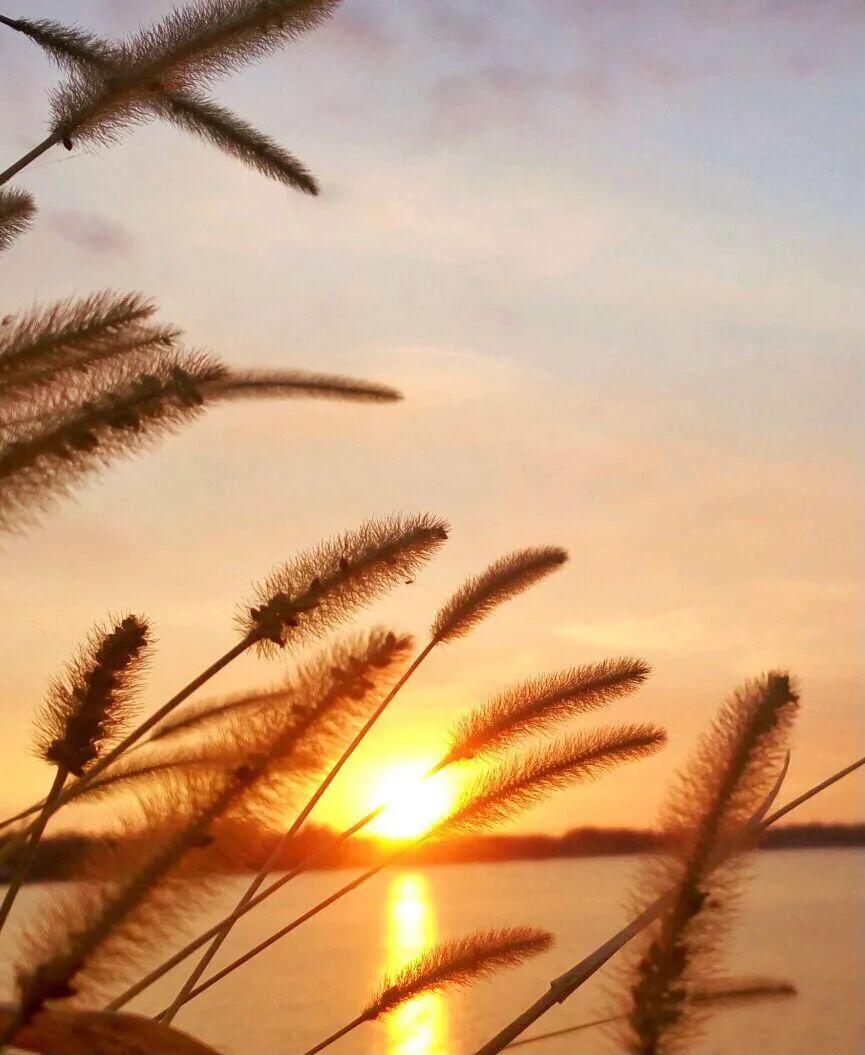 直播间主播开场白怎么说,直播间开场10分钟怎么说话