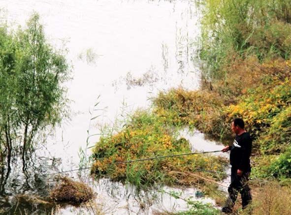 钓黄金鲫鱼用什么钩好,春天钓鲫鱼的正确方法与技巧