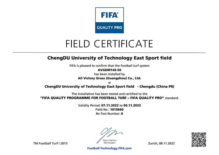 成都fifa认证足球场,国内第一个fifa认证球场