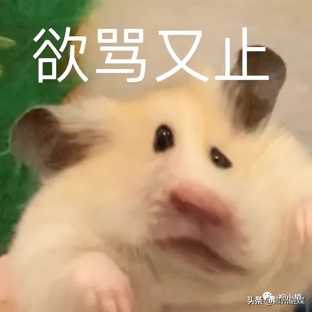 盘点那些在网购的山寨货,盘点那些网购的山寨物品