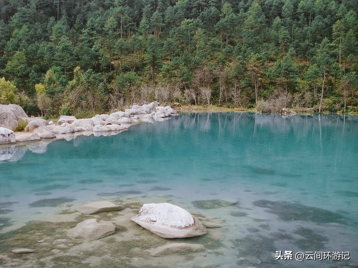 「一根风花雪月的鸡毛」（云南丨昆大丽香）