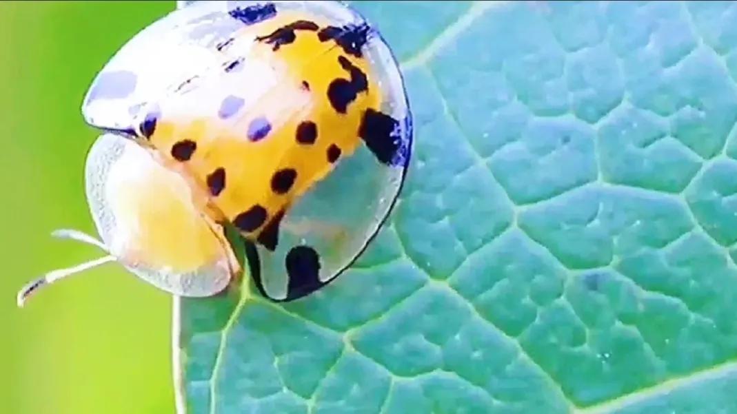 早起魔法之赶走瞌睡虫