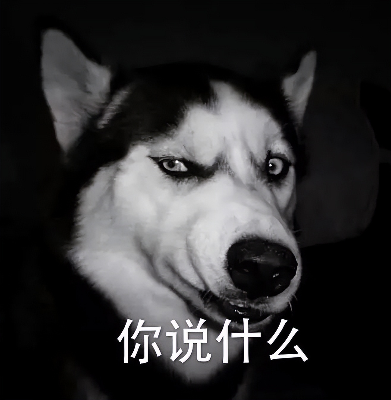 气场强大正直可靠的星座,为人有点傲气因此容易吃亏的星座