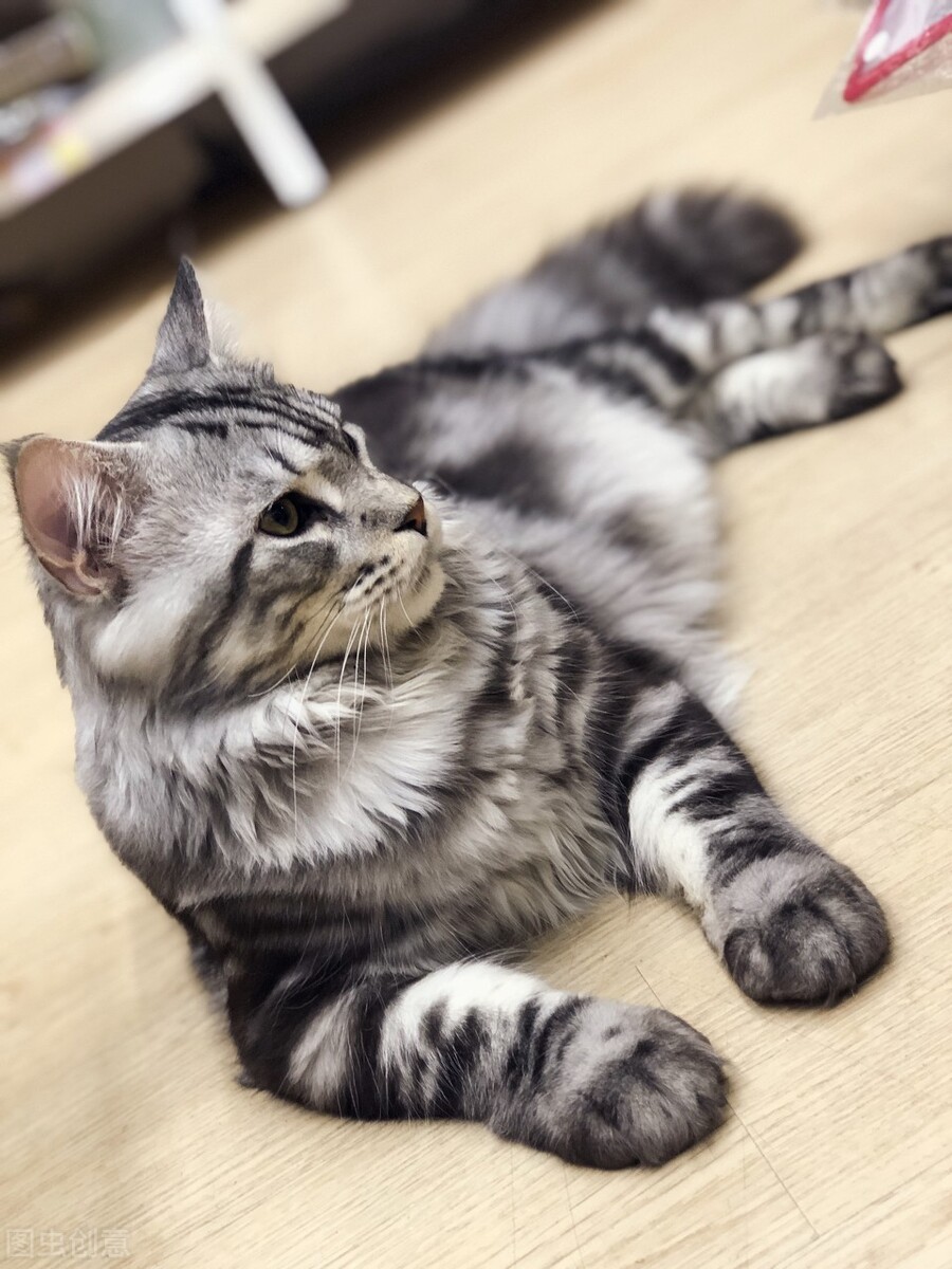 溺爱用英语怎么说,宠溺纵容溺爱英文