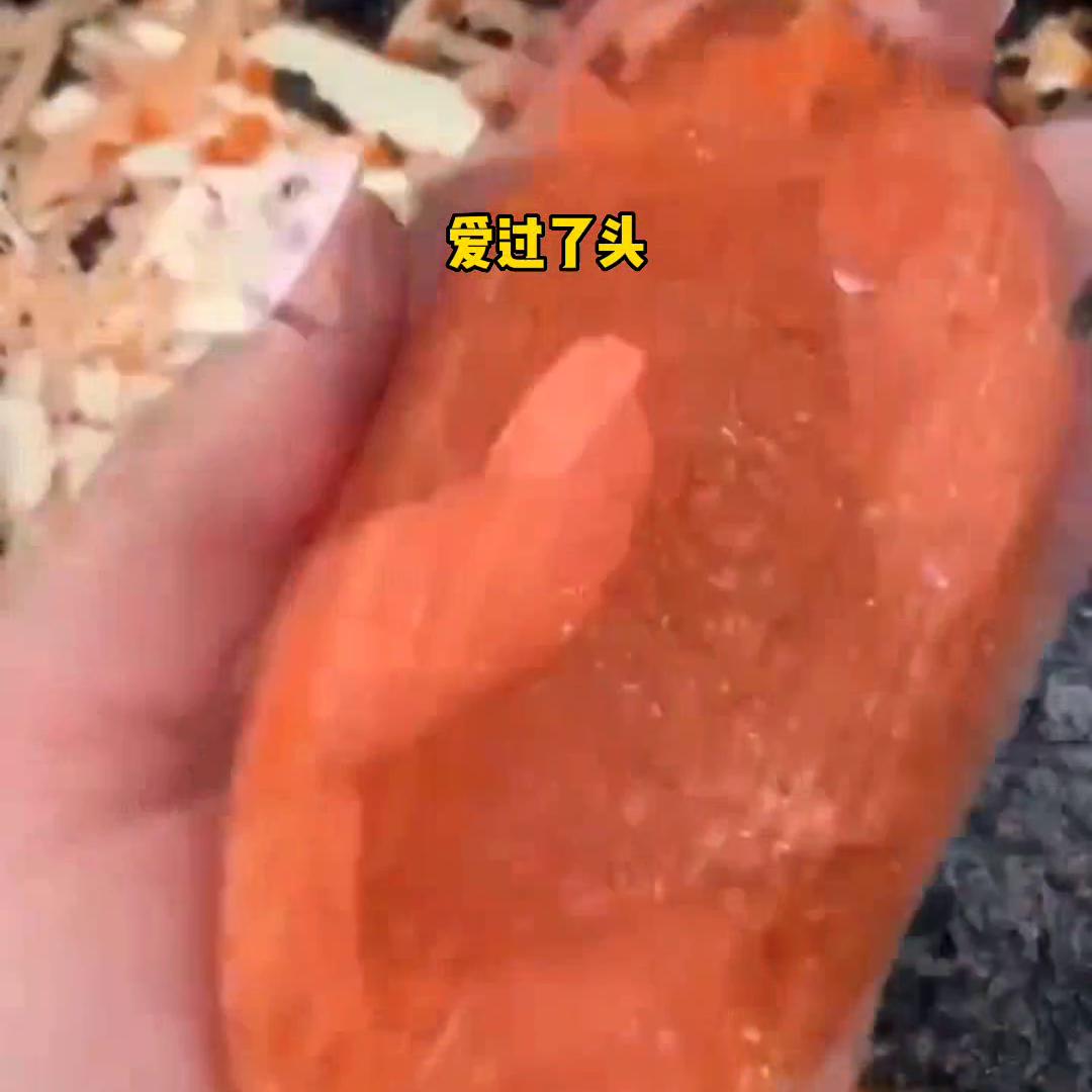 小说大全免费,小说孽缘