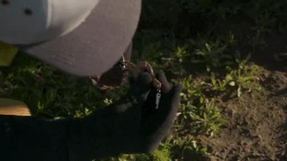 鸡蛋从100米高空落下怎样,鸡蛋怎样从高空中掉下来不碎