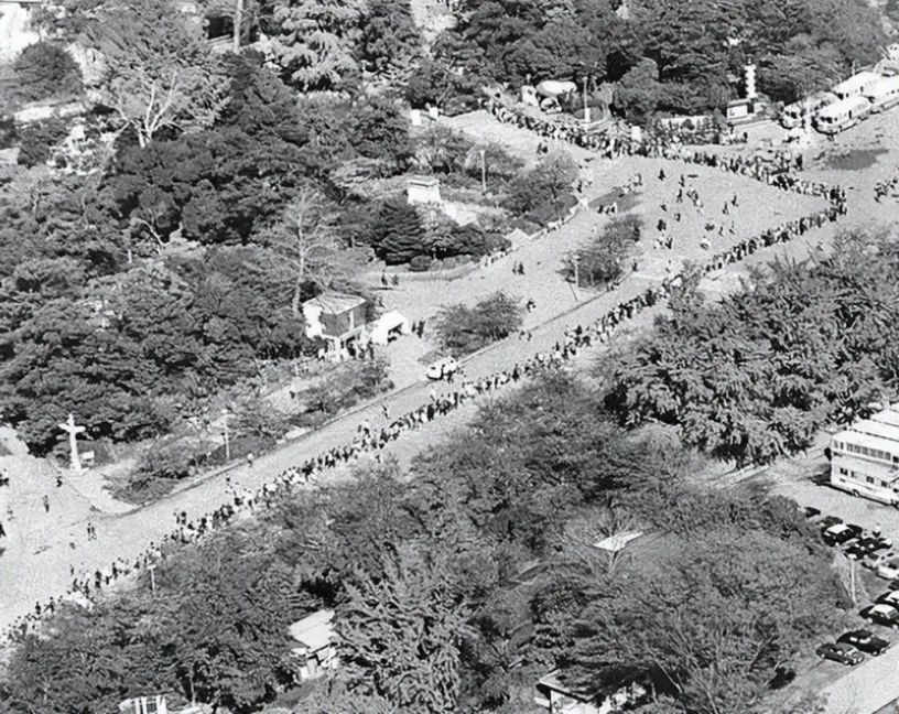 多少人关注丫丫,现在有多少人在关注丫丫