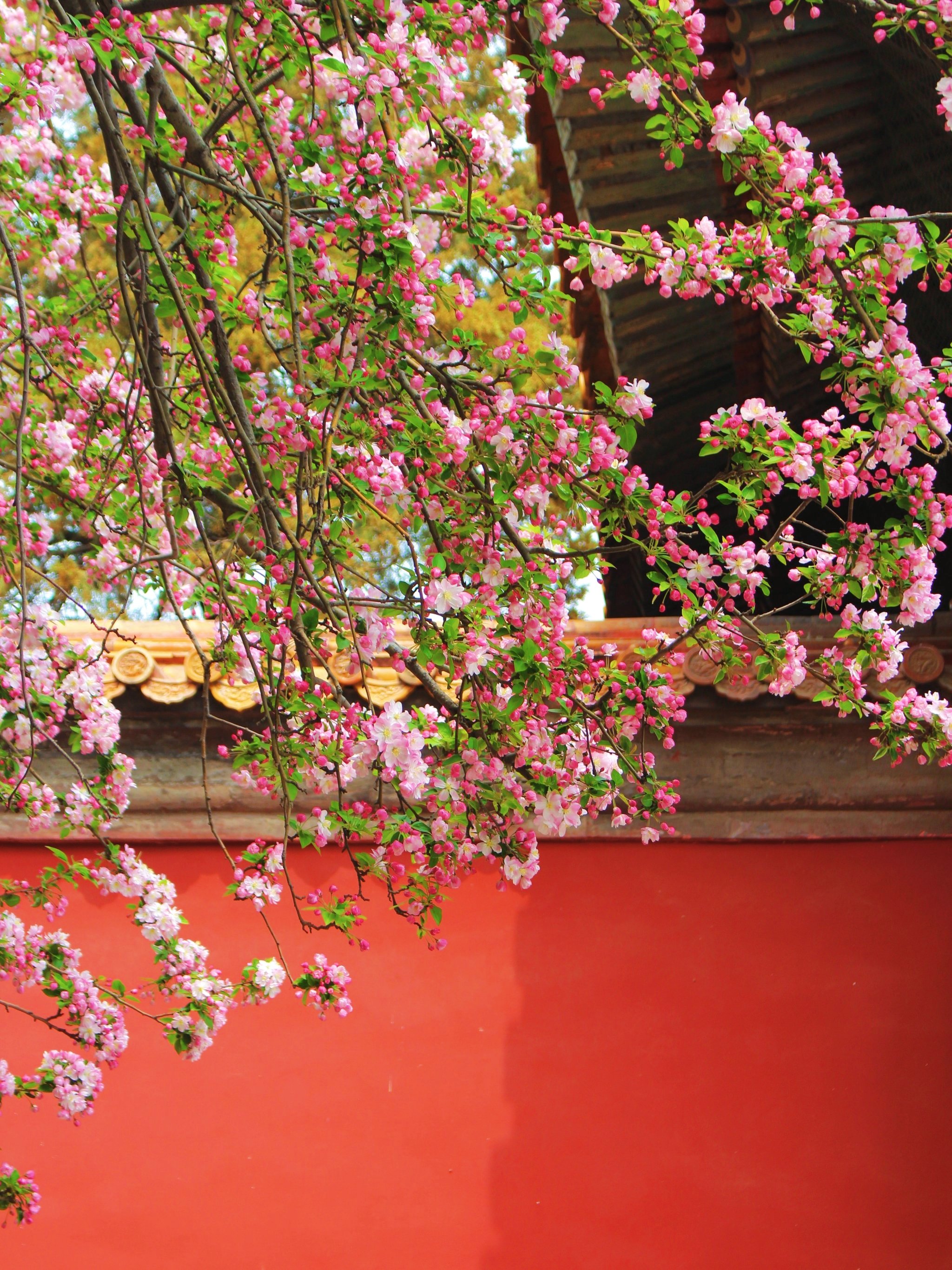 玩转北京攻略,去北京玩儿哪儿最省钱