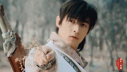 王子腾人物评价,王子腾是男的还是女的