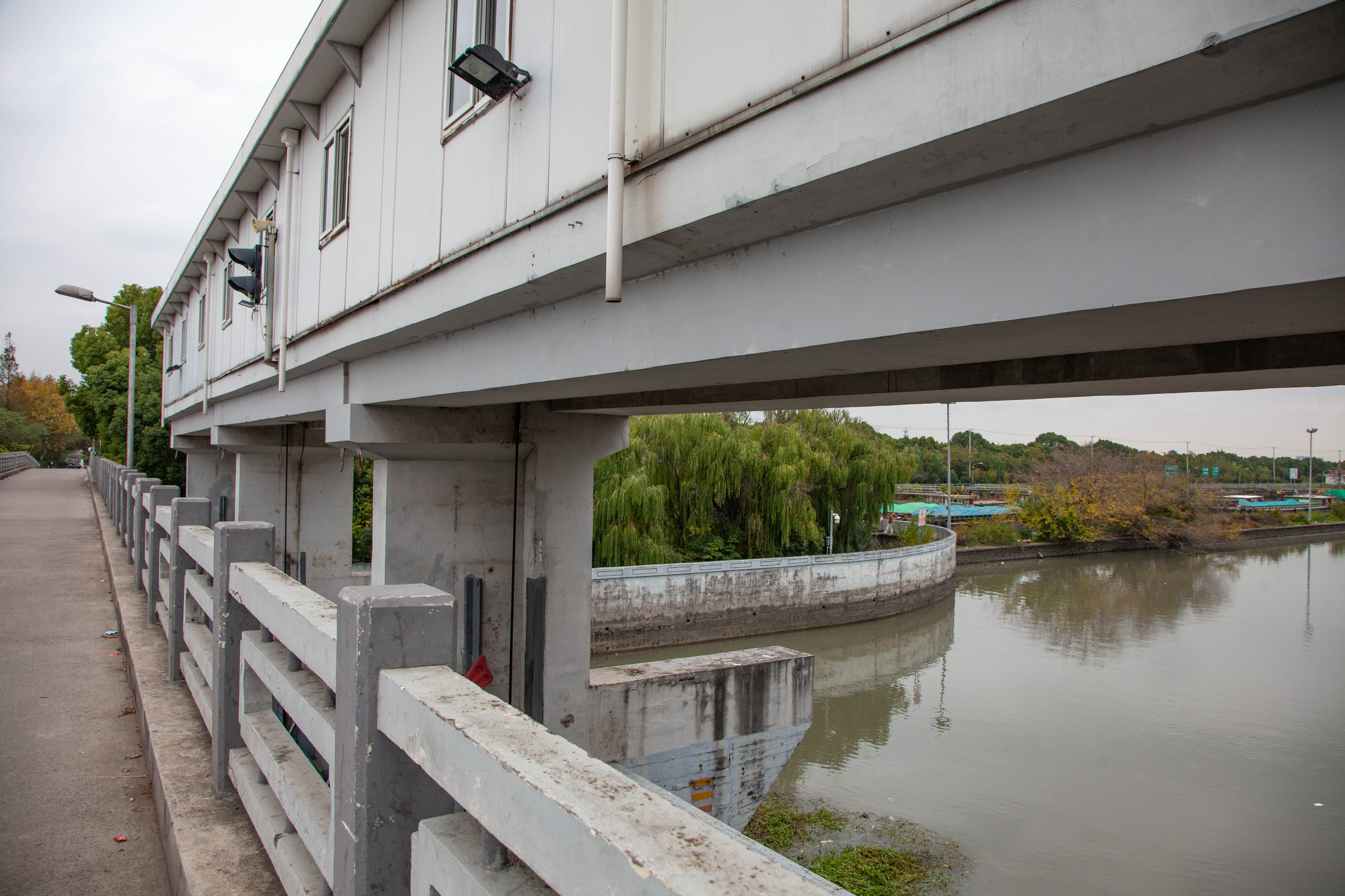 宝山顾村历史,上海宝山顾村老街