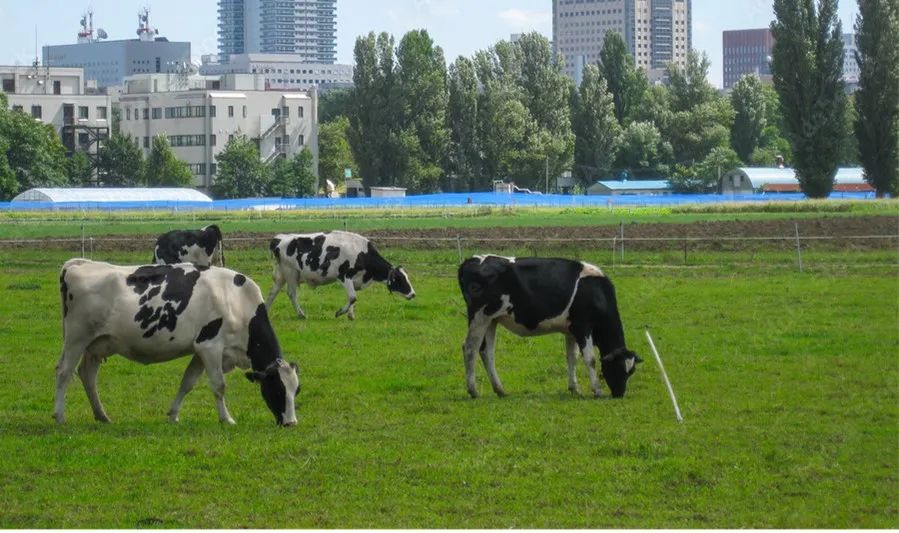 2023qs排名top100,qs排名2023完整榜单