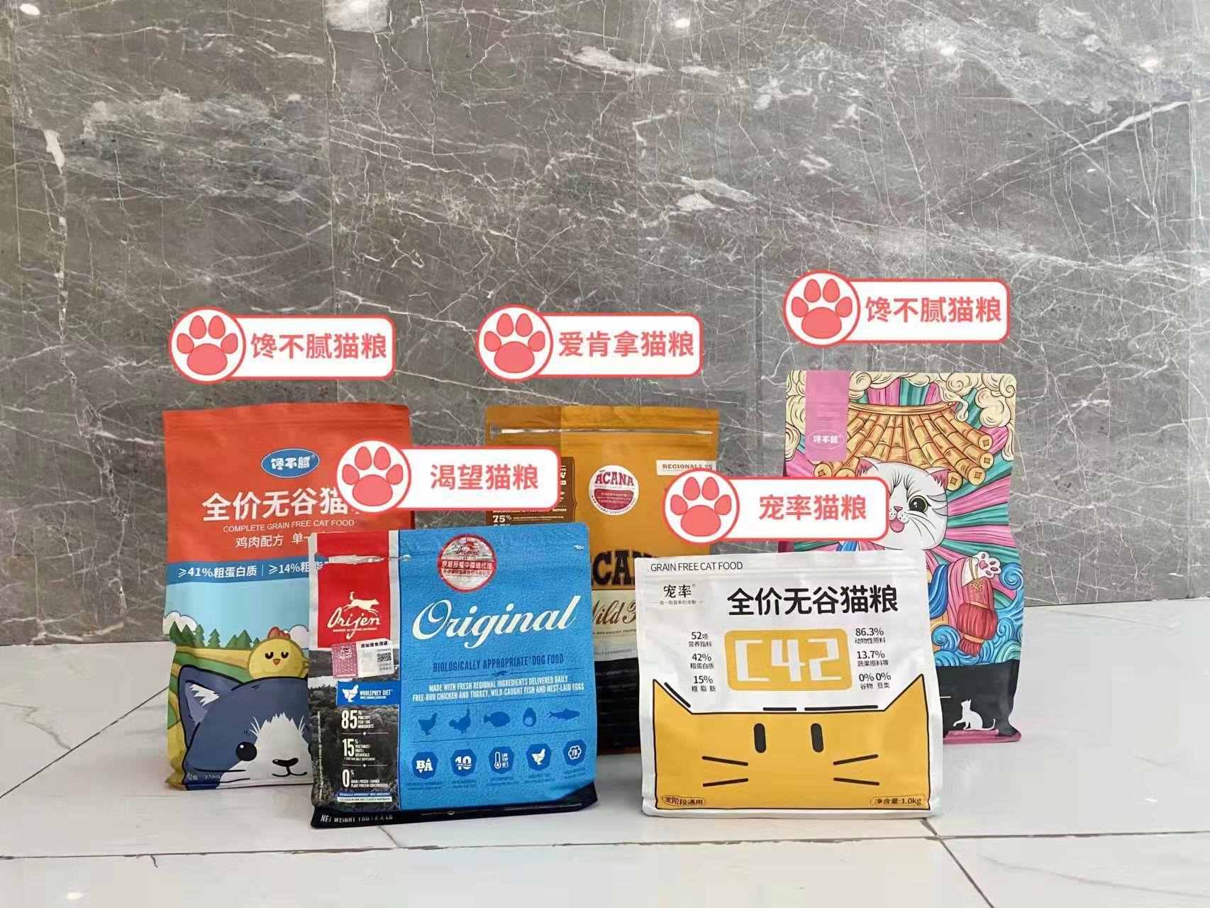 田园猫哪种猫比较好养活,什么猫适合新手养中华田园猫