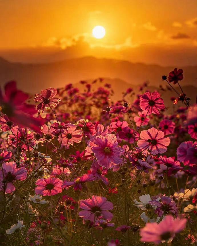 挣有钱人的钱的项目,挣有钱人的钱才能发财