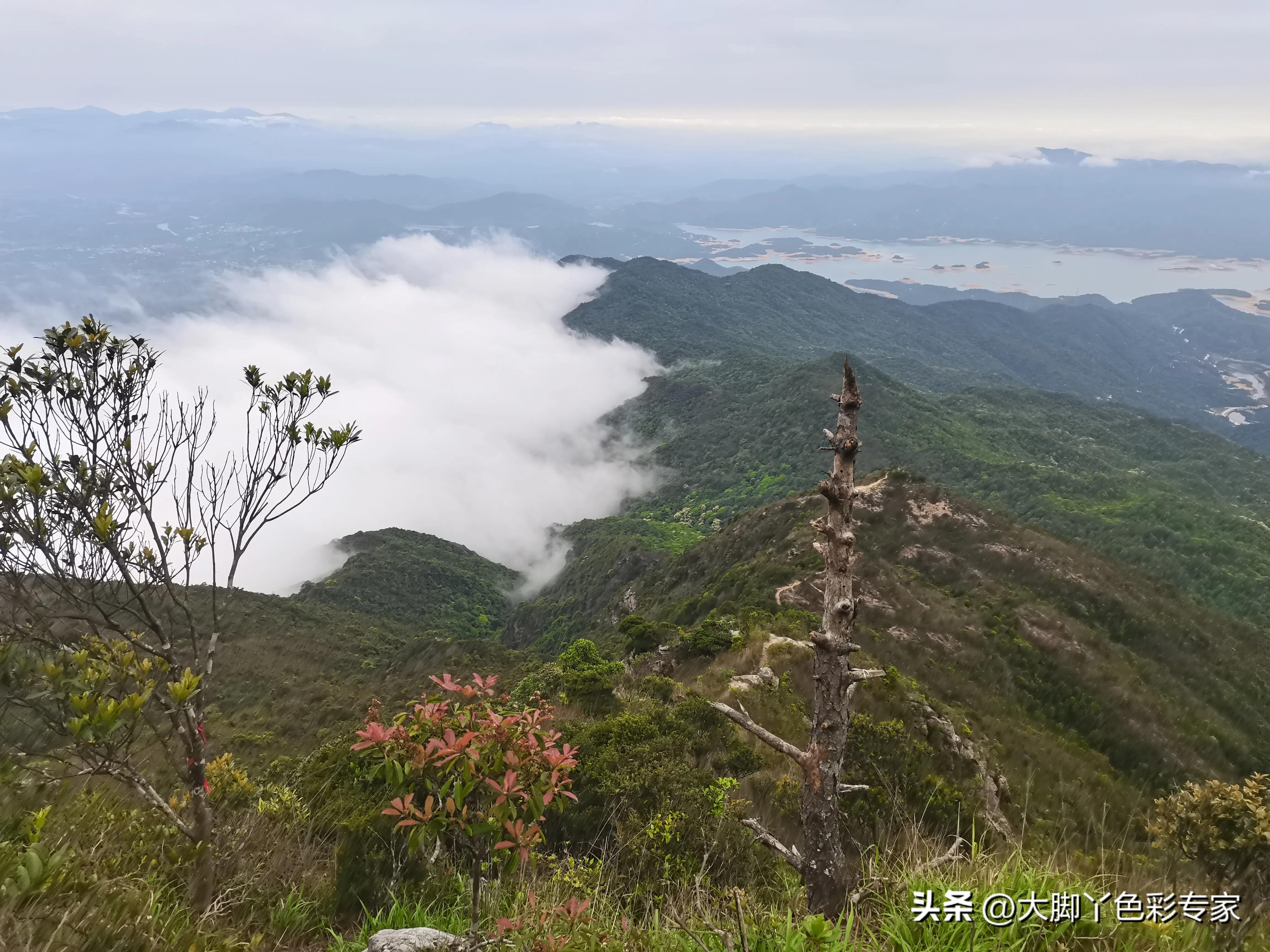 三刷最后结局是什么,三刷广州