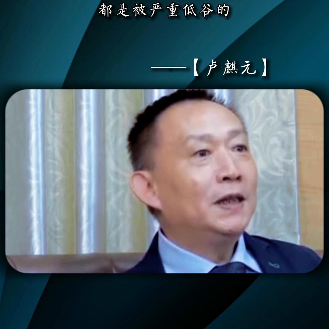 我们的经济不应该成为美元的背书工具#卢麒元