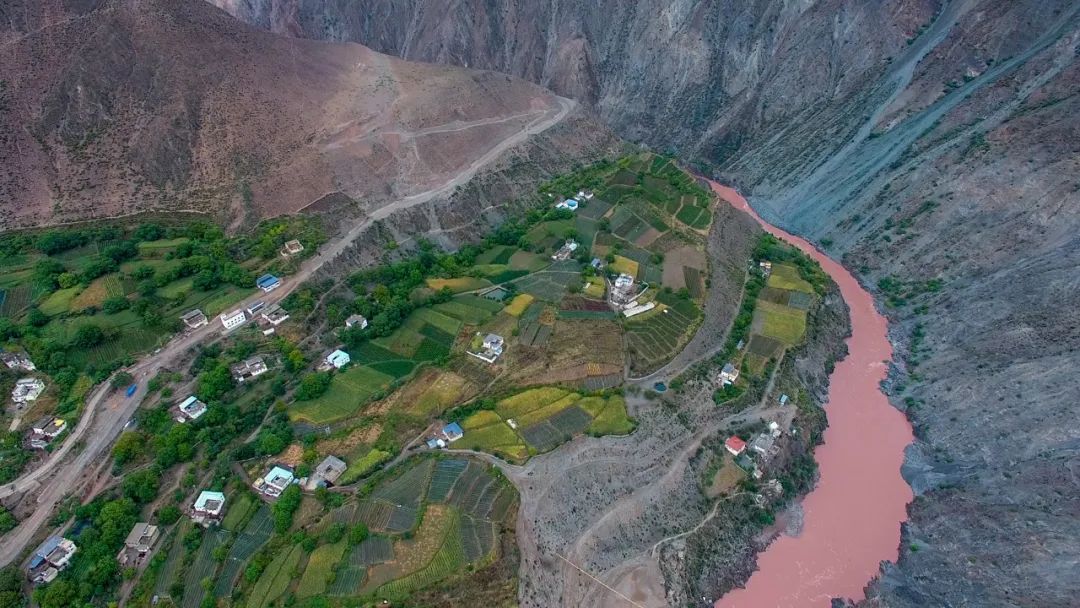 拐枣可以泡水和泡酒,拐枣与肉桂泡酒功效