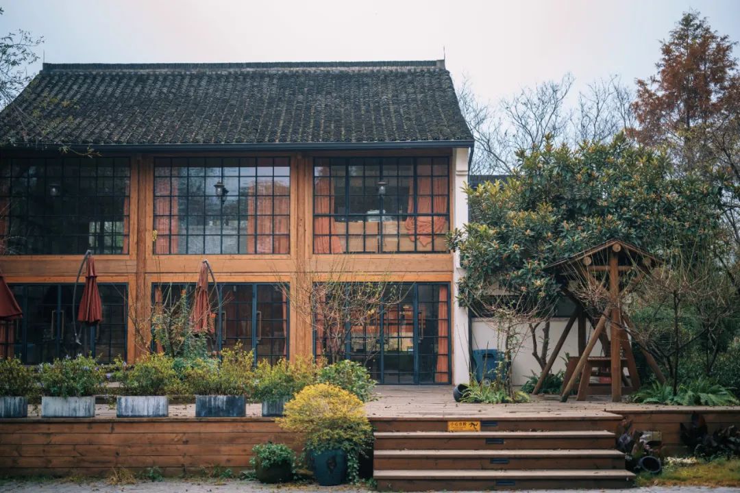 春天的潺潺溪水,春天的顶流