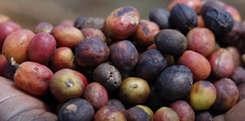 布隆迪是世界上最不发达的国家,世界最穷国家布隆