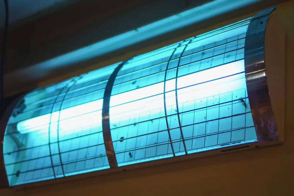 苍蝇也有生存权？艺术家的灭蝇装置被动保组织喷下架