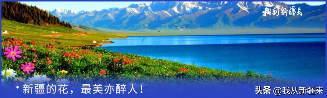 入疆旅游攻略,一篇攻略秒懂新疆