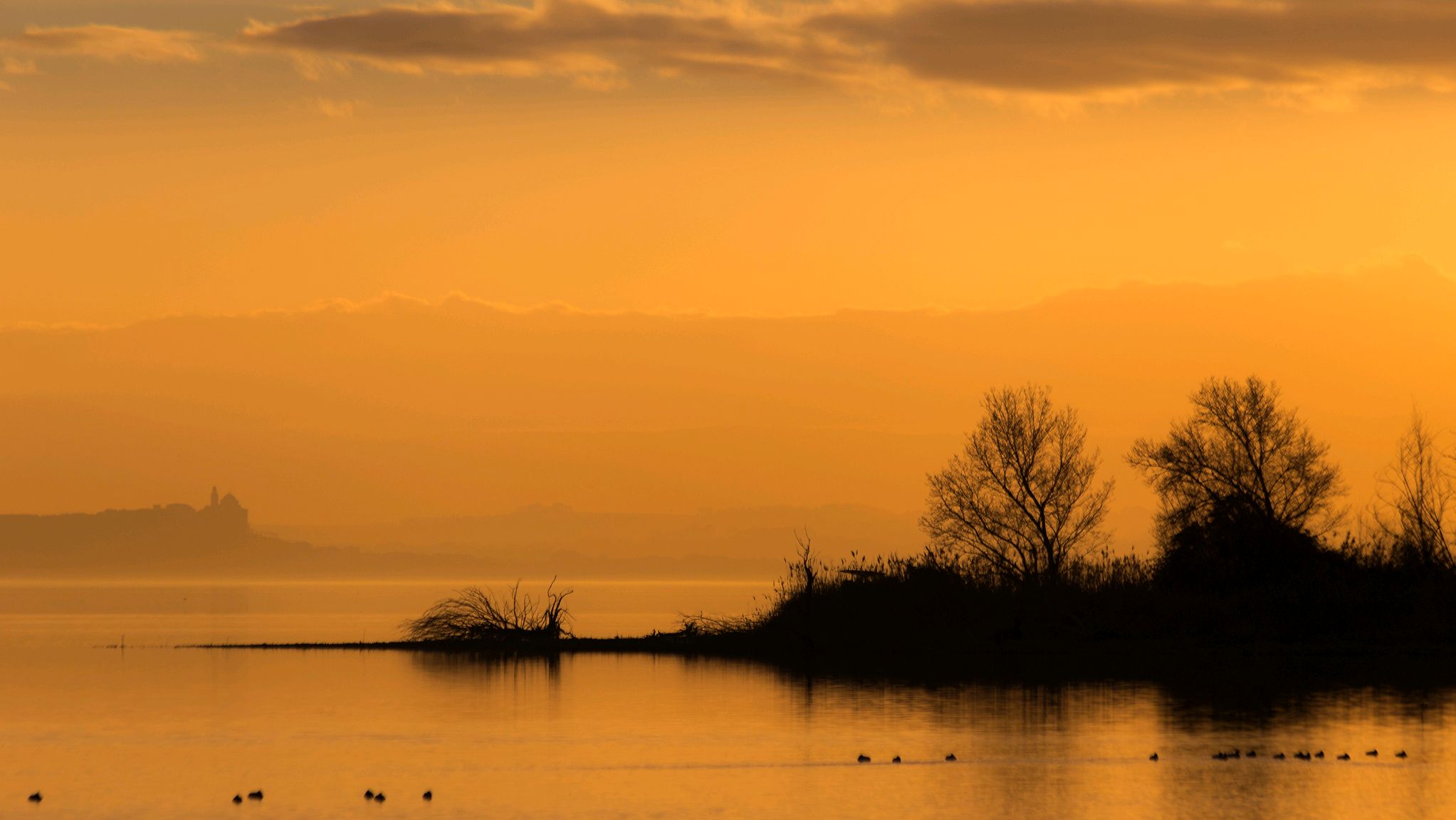 李频送友返乡过年，写下一首有故事的送别诗，值得一读