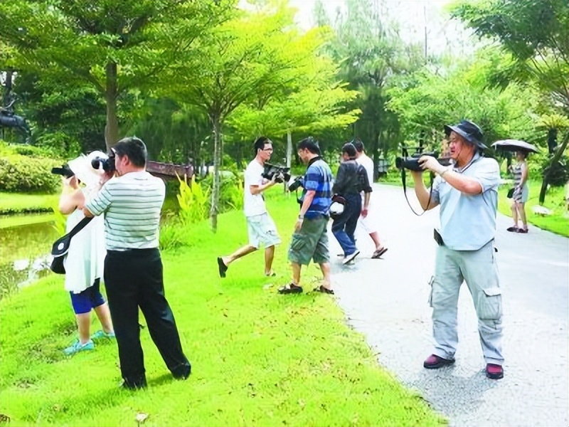 旅游被导游诱导消费怎么投诉,跟团旅游自愿购物会被导游骂吗
