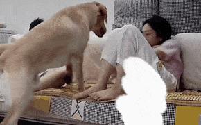 爆笑推荐：你能理解这个东西吗？肚脐眼纹身贴！