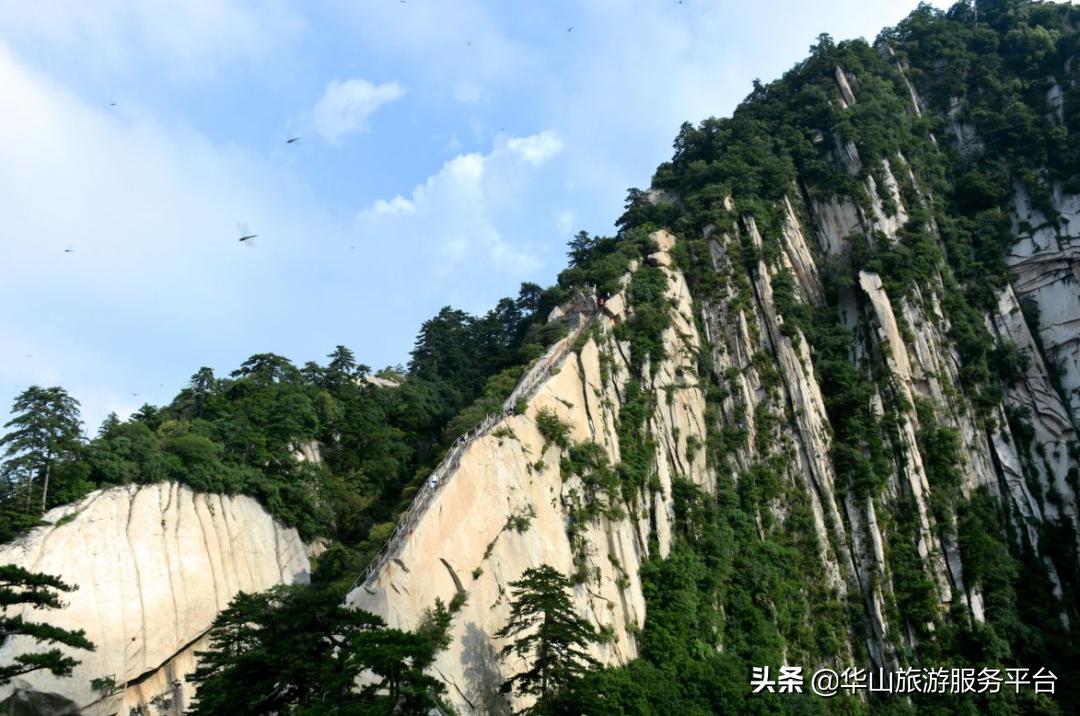 这段时间游华山免门票,华山旅游景点免门票怎么预约的