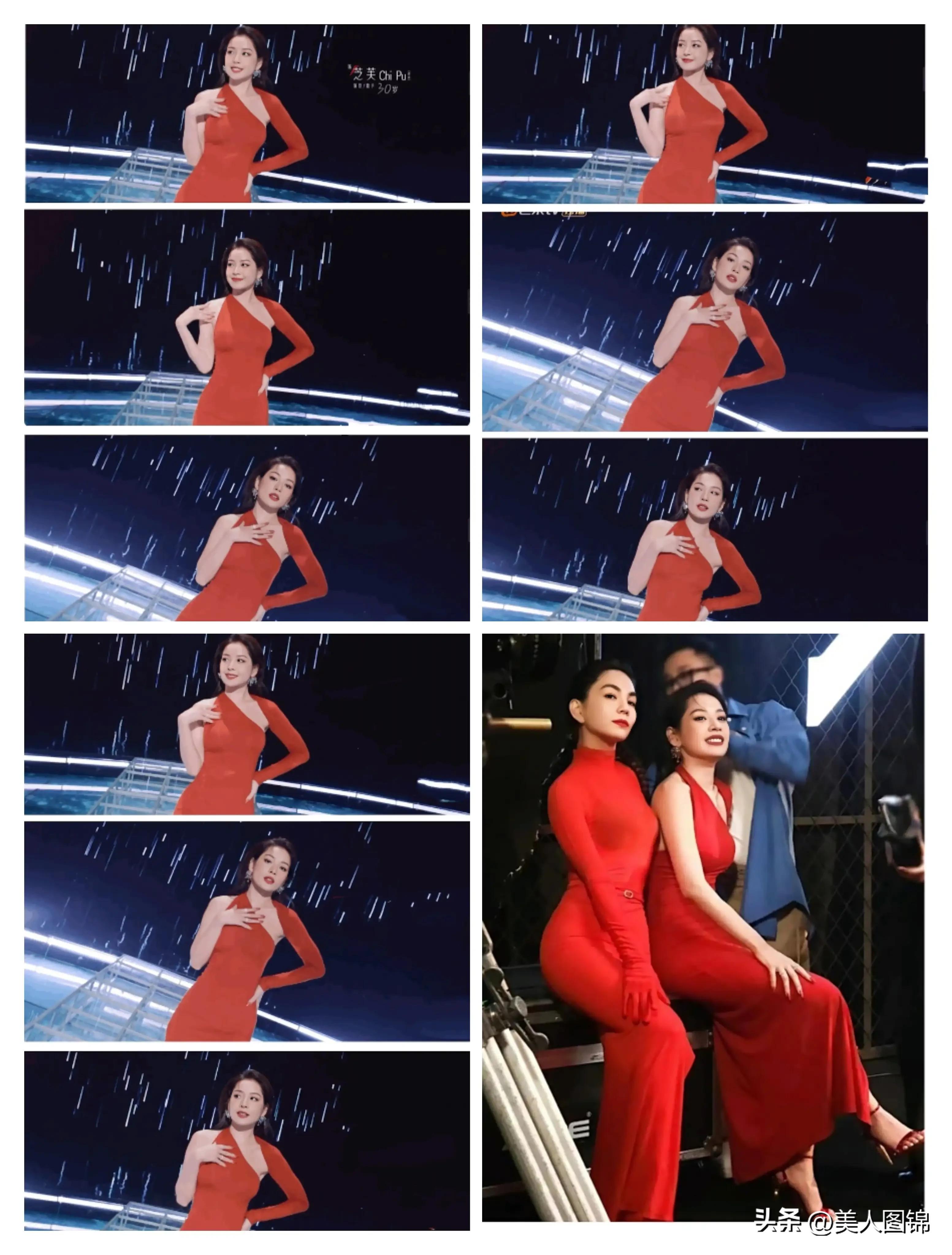 越南芝芙,芝芙越南