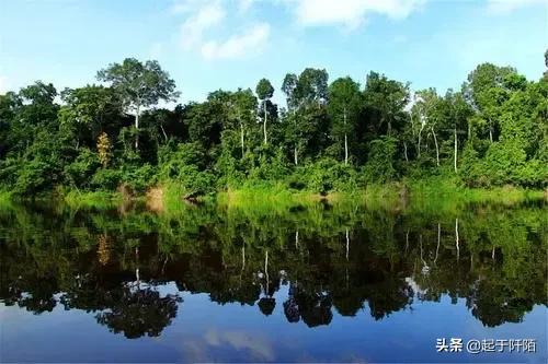 巴西的贫民窟到底有多残酷,巴西现在面临的环境问题